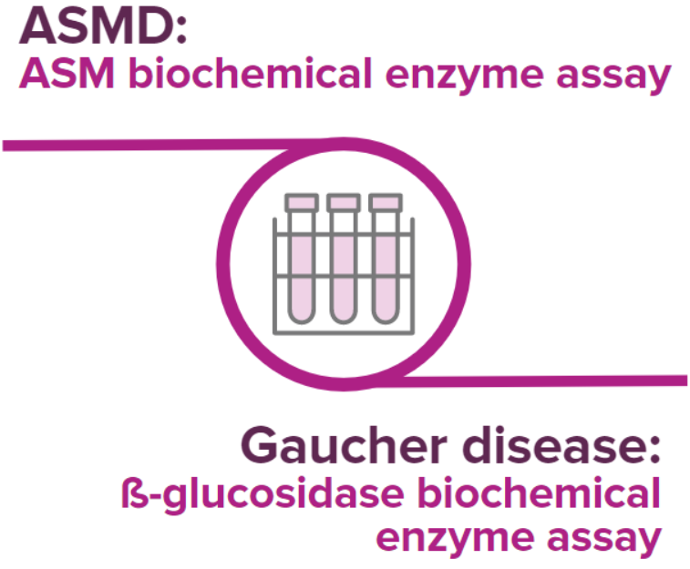 Parallel testing for ASMD and Gaucher disease is recommended in expert guidelines