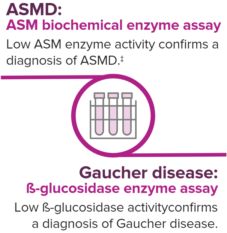 Parallel testing for ASMD and Gaucher disease is recommended by expert guidelines